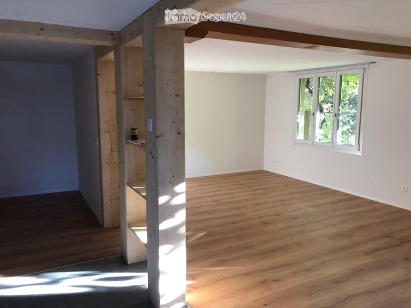 Charmante 5.5 Maisonettewohnung (1)