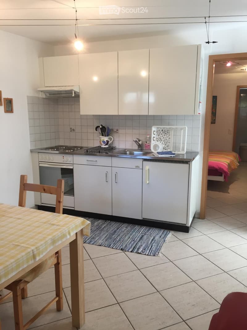 Appartamento Maggia (2)
