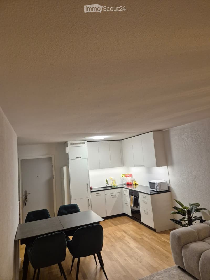Länggasse: Recherche de sous-locataire à partir du 1er sept. (4)