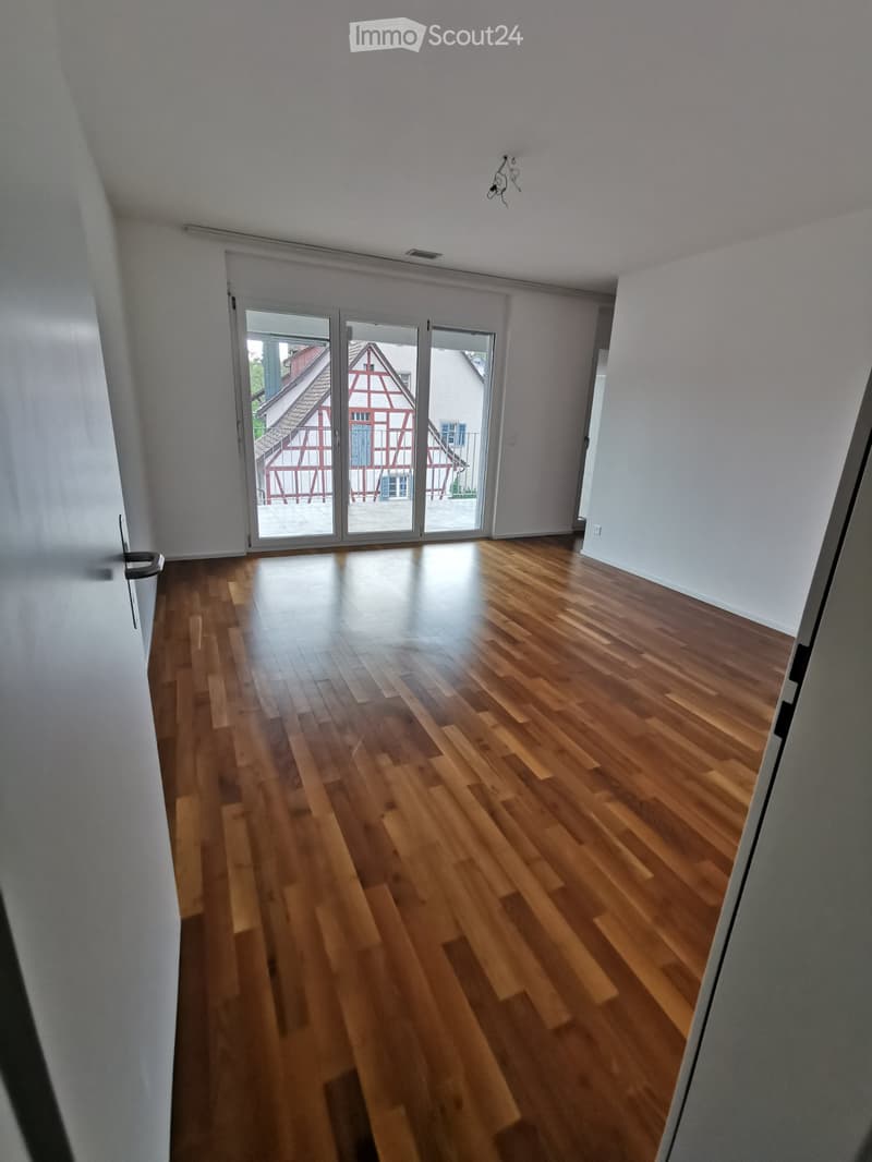 4.5 Zimmer Attikawohnung mit Lift direkt in die Wohnung (2)