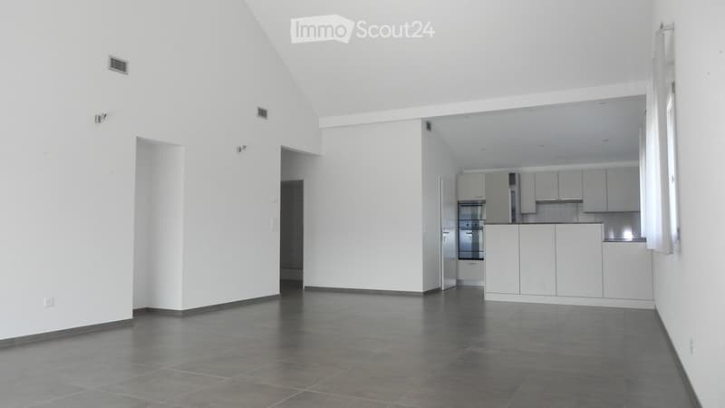 4.5 Zimmer Attikawohnung mit Lift direkt in die Wohnung (1)