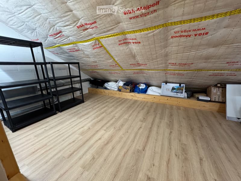 4.5 Zimmer Attikawohnung mit Lift direkt in die Wohnung (4)