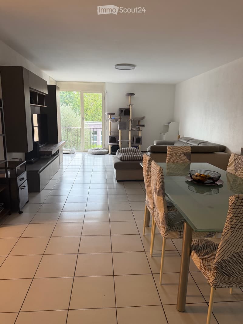 Subentrante per ampio appartamento con giardino privato (12)
