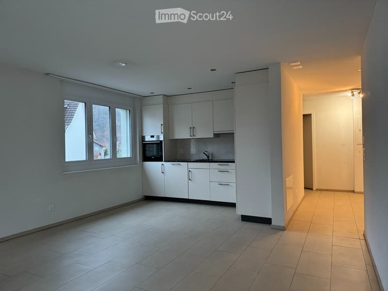 3.5 Zimmer Wohnung Flums (1)