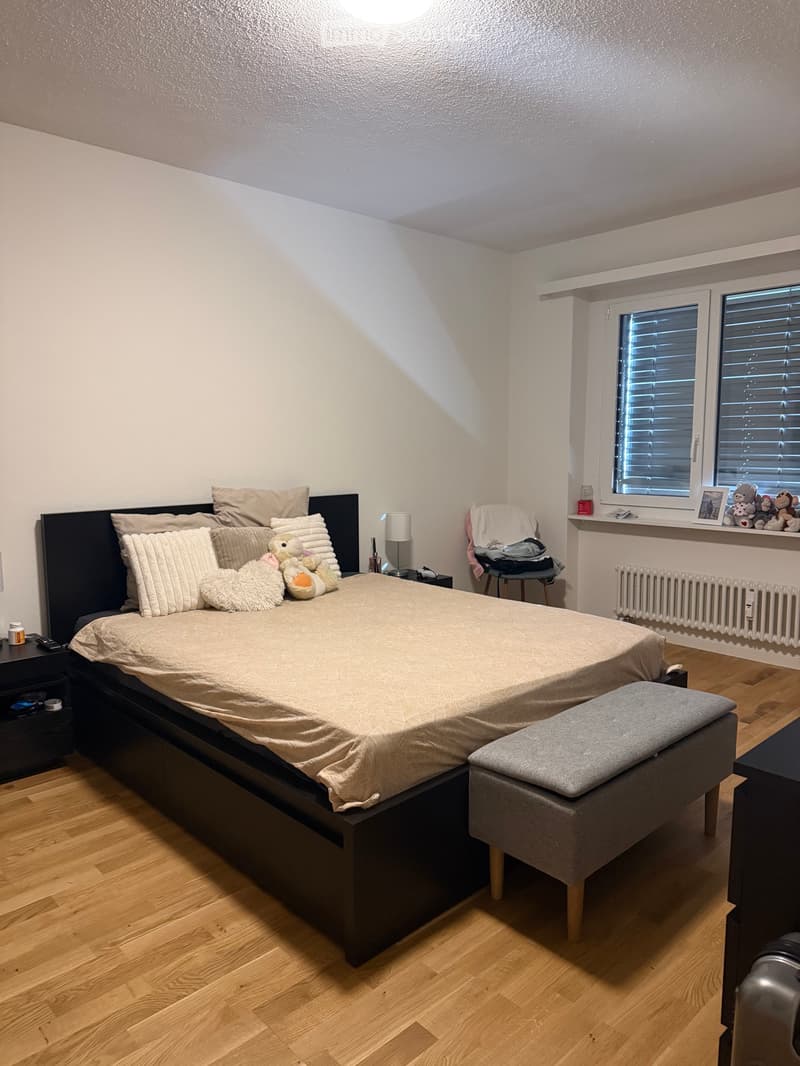 2.5 LOCALI A SEMENTINA CHF 1150. TUTTO COMPRESO! (3)