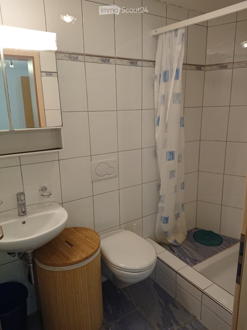 Studio Wohnung 1.5 Zimmer 30m2 Eschenbach Inwil Emmen Appart (3)