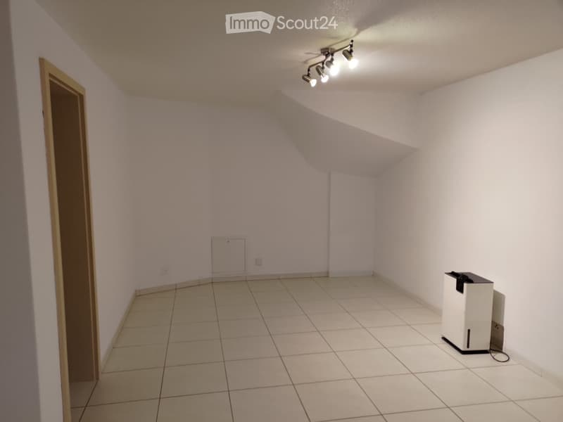 Studio Wohnung 1.5 Zimmer 30m2 Eschenbach Inwil Emmen Appart (5)