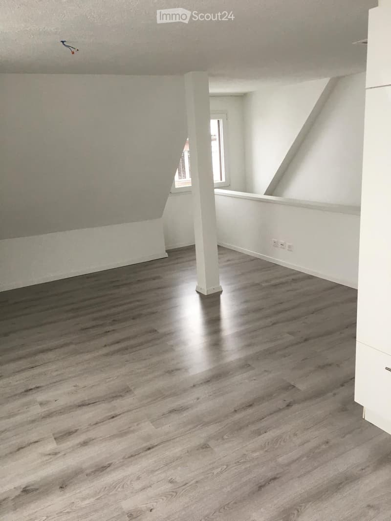 Attraktive 3.5 Zimer Dachwohnung (4)