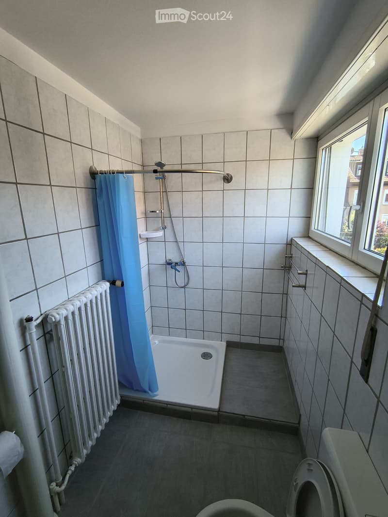 2 Zimmer Wohnung im Neubadquartier (3)