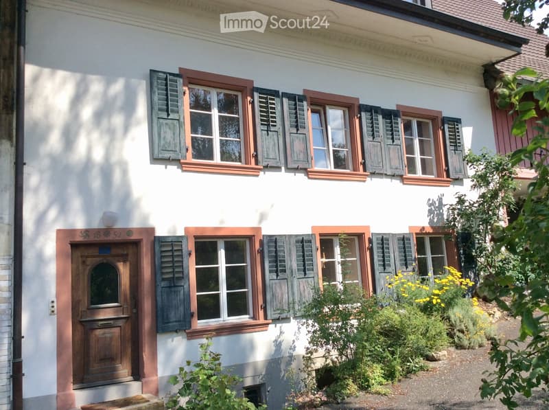Grosse, sonnige Altbauwohnung mit Kachelofen (1)