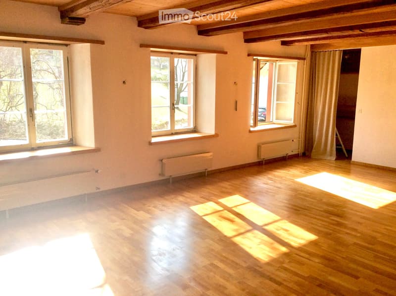 Grosse, sonnige Altbauwohnung mit Kachelofen (2)