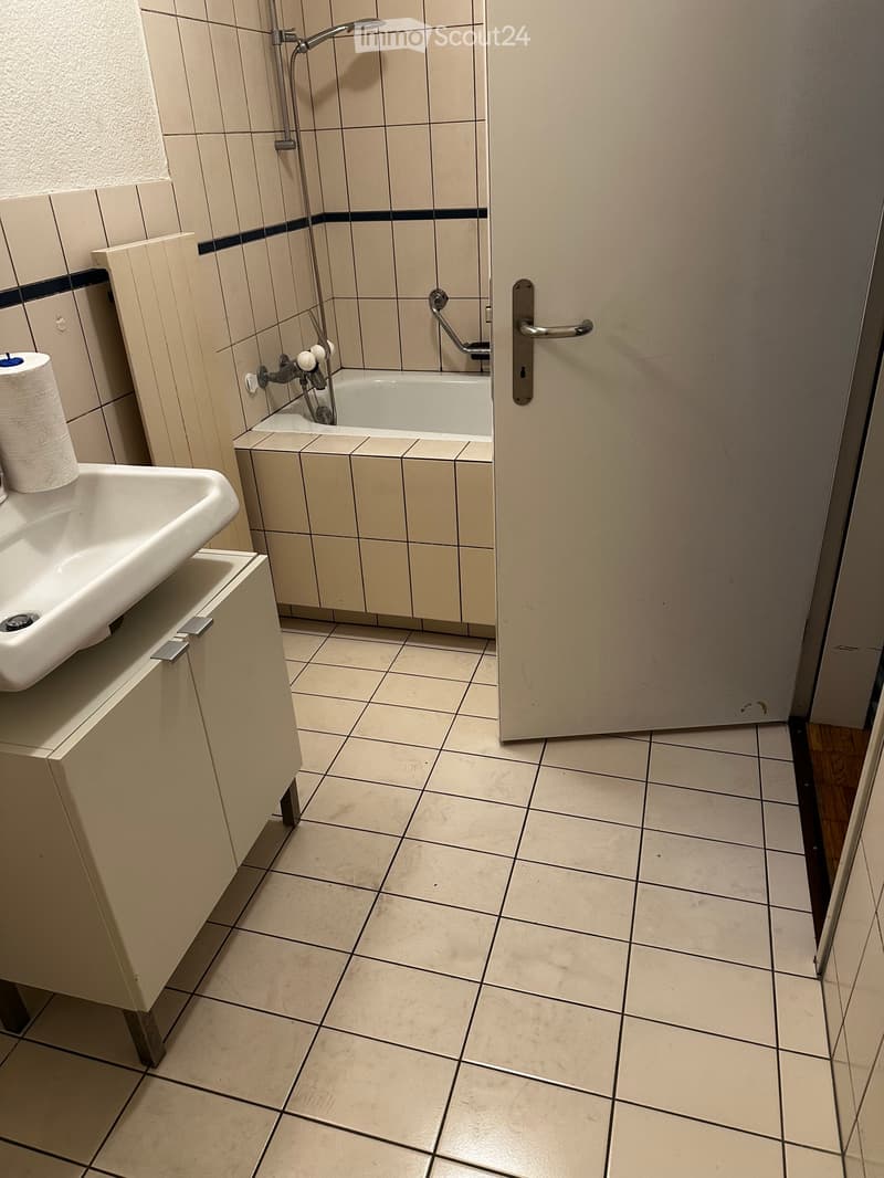 Schöne 1.5 Zimmerwohnung (4)
