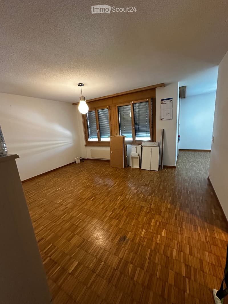 Schöne 1.5 Zimmerwohnung (2)