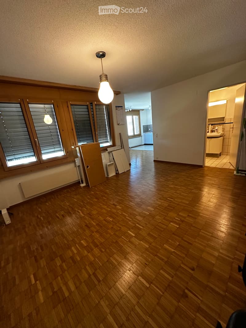 Schöne 1.5 Zimmerwohnung (1)