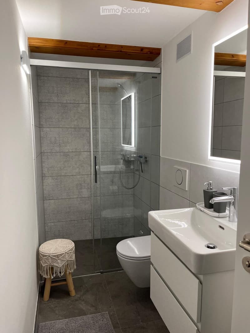 Studiowohnung, Möbliert oder unmöbliert nach Vereinbarung (2)
