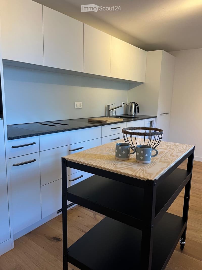 Studiowohnung, Möbliert oder unmöbliert nach Vereinbarung (4)