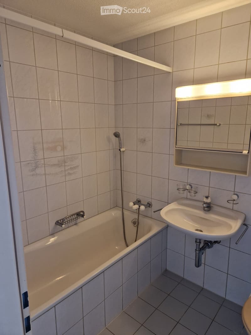 Studiowohnung in Menziken (2)