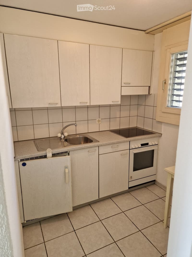 Studiowohnung in Menziken (1)