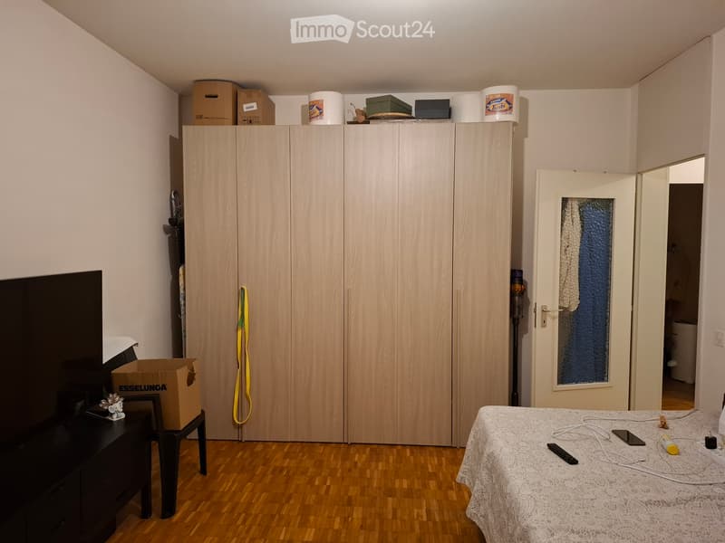 Cerco coinquilina (3)