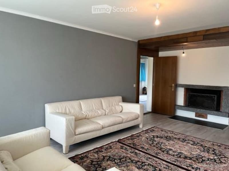 Helle 4.5Z Wohnung mit Cheminée und Limmatblick (1)