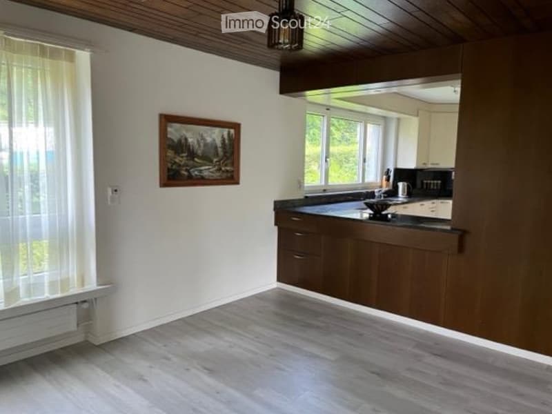 Helle 4.5Z Wohnung mit Cheminée und Limmatblick (4)