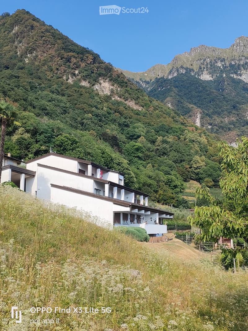 Patrizia (5)