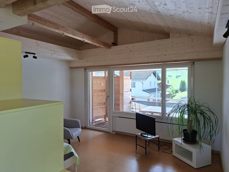 Ferienwohnung / Studio zu vermieten / Ganzjährig (2)
