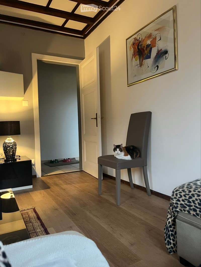 Casa unifamiliare con splendido giardino a 2 passi dal lago (3)