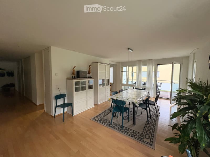 Helle 4.5-Zimmer-Wohnung mit traumhaftem Blick Zürich 8041 (3)
