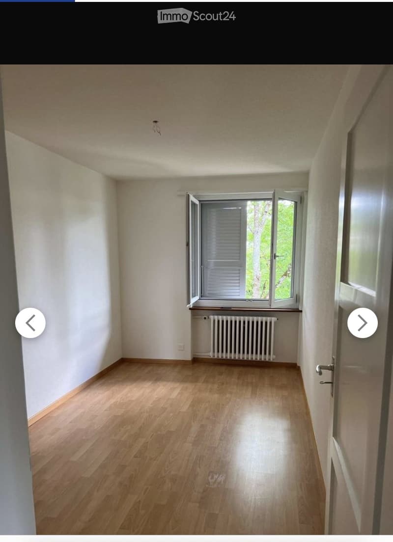 Nachmieter gesucht. Schöne, günstige 3 Zimmer Wohnung (2)
