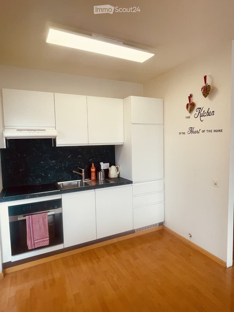 2.5 LOCALI ARREDATO CON VISTA LAGO (3)