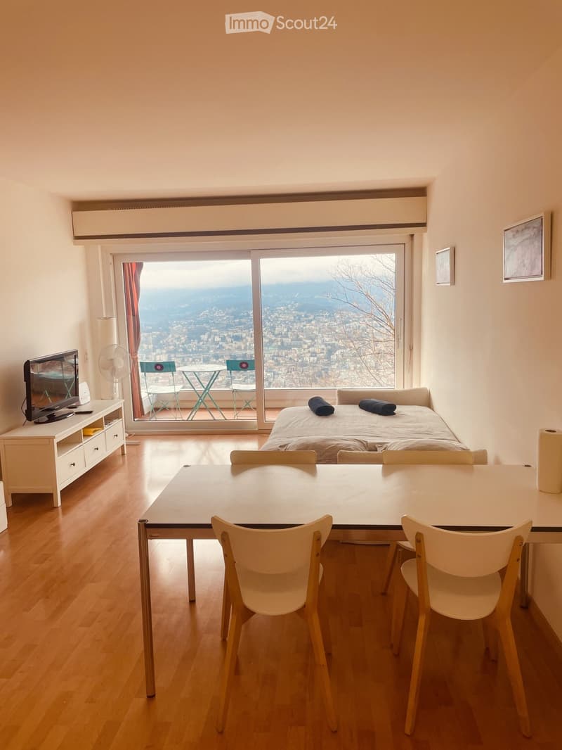 2.5 LOCALI ARREDATO CON VISTA LAGO (2)