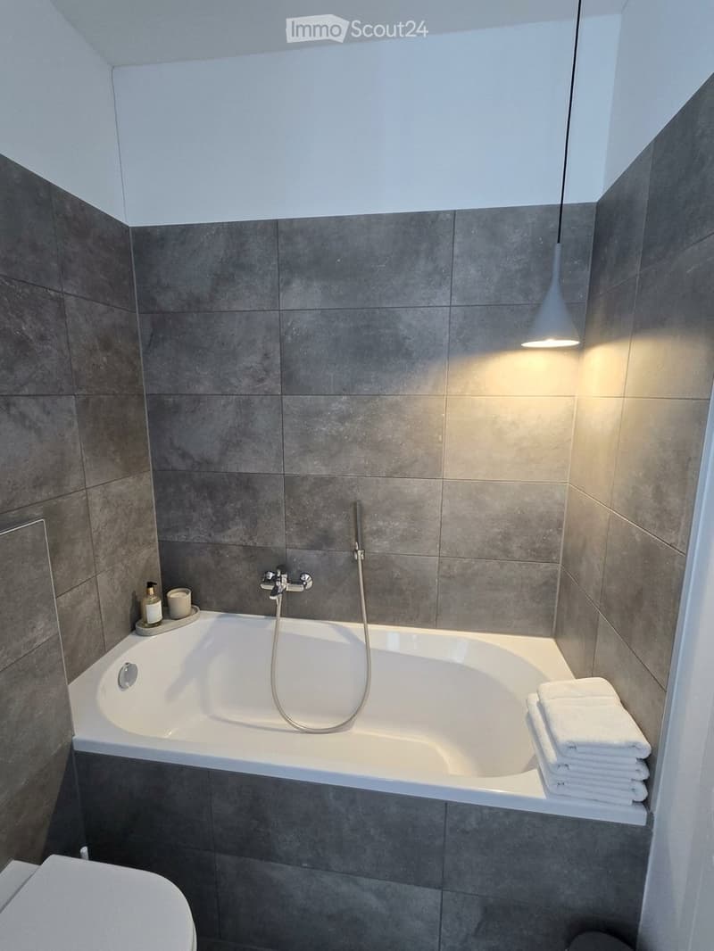 Subentro attico 3.5 Bellinzona ampio terrazzo (4)
