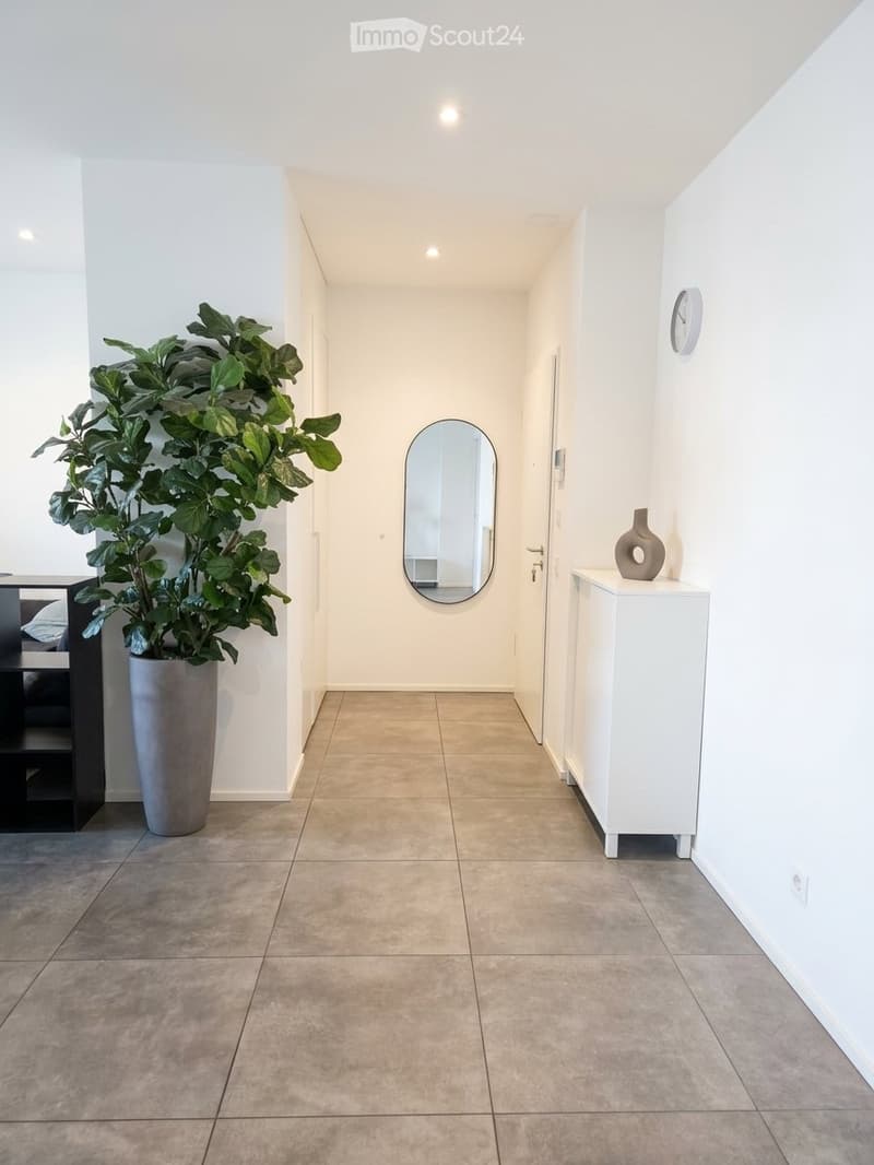 Subentro attico 3.5 Bellinzona ampio terrazzo (8)