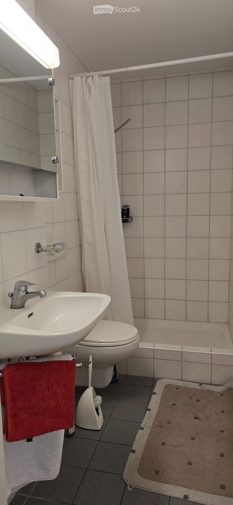 Möblierte wohnung (4)