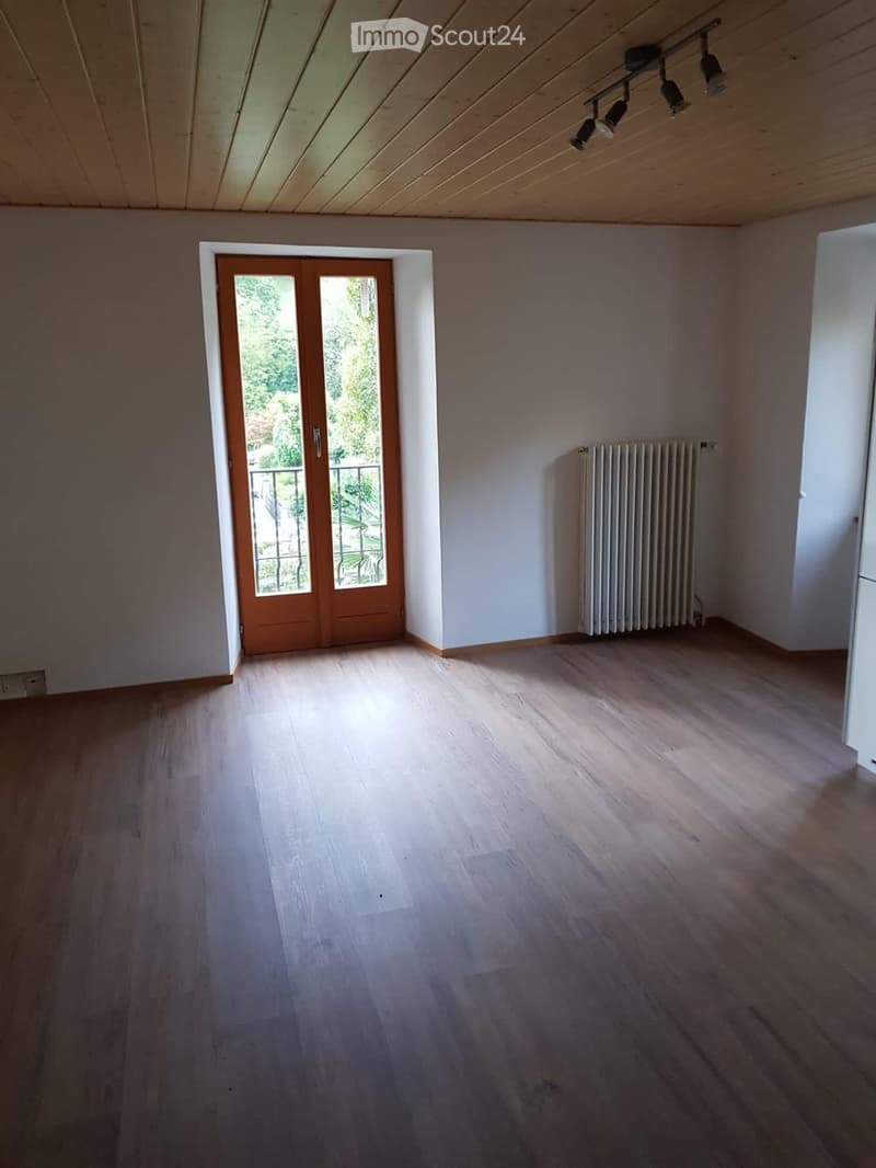 Affittasi appartamento 3,5 locali ristrutturato (4)