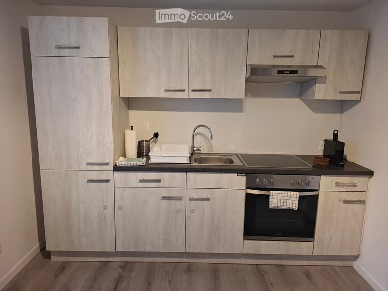 Helle möbelierte 3,5 Zimmer Wohnung befristet zu vermieten (4)