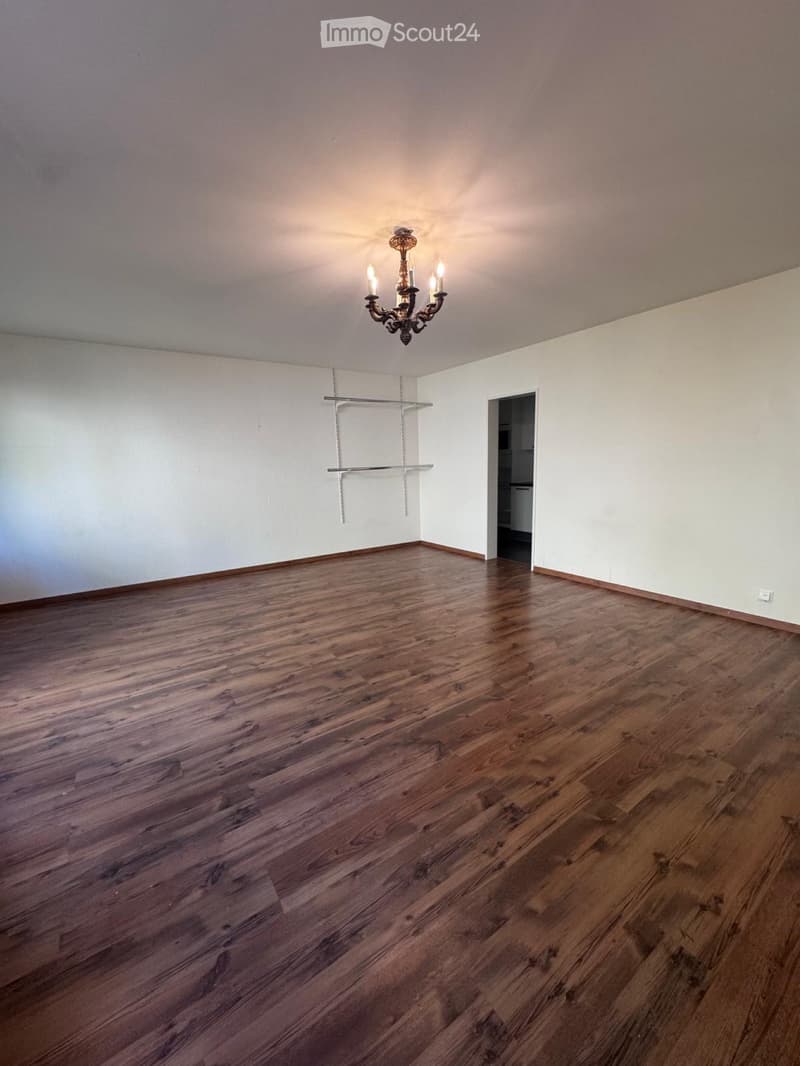 1.5-Zimmer-Wohnung in Basel-Riehen (1)