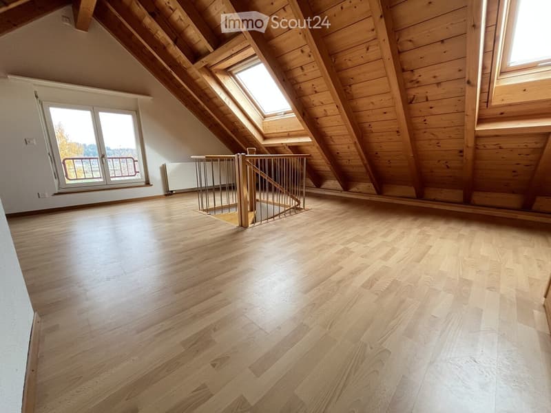 Hell 3-Zimmer Duplex-Dachwohnung mit neuer Küche zu vermiete (5)