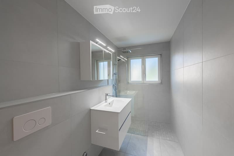 Wunderschöne komplett renovierte Wohnung mit toller Aussicht (2)