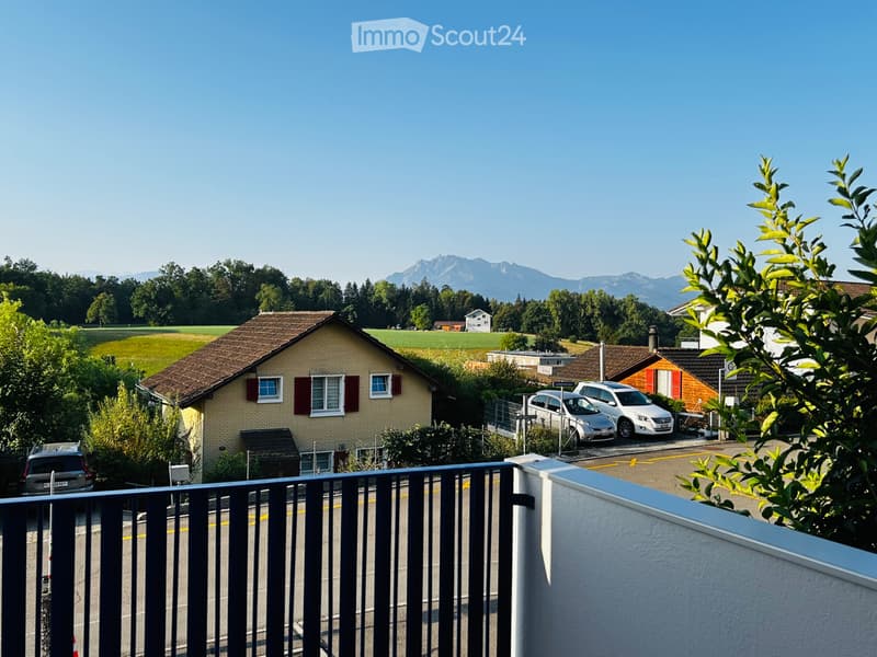 Wunderschöne komplett renovierte Wohnung mit toller Aussicht (5)