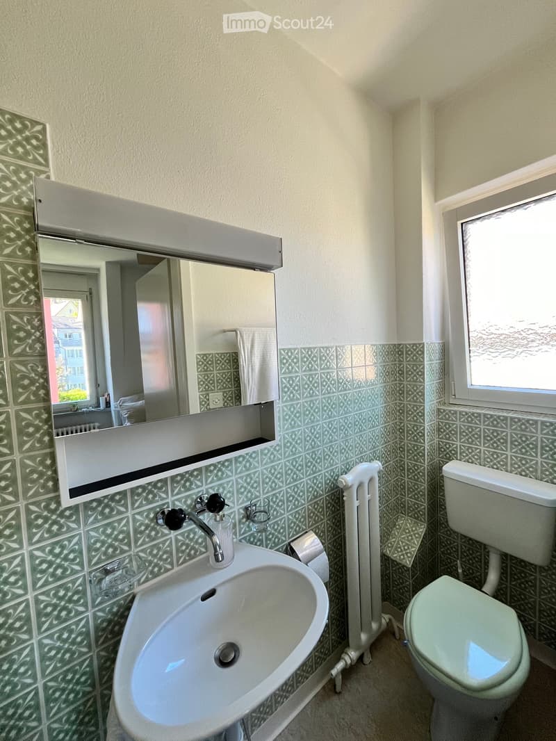 Wohnung am Zürichberg, befristet 16.08-13.09.2026 (4)