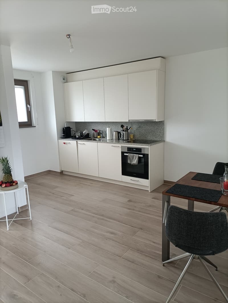 Modern Apartment in Confignon (2)