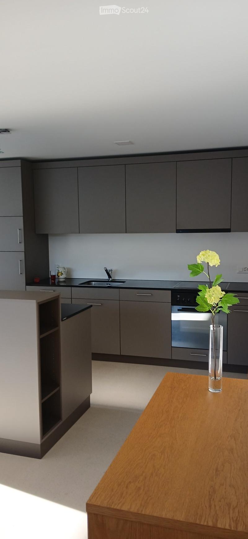 2.5 Zimmer-Wohnung im schönen Hausen am Albis (3)