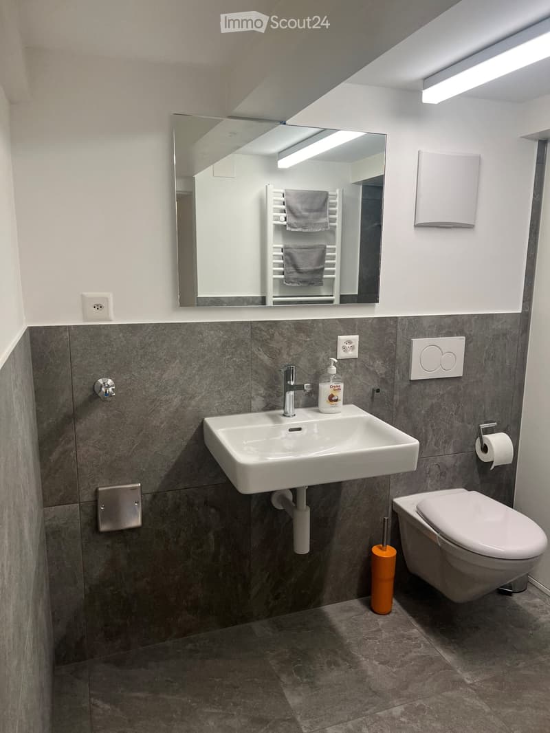 Möbelierte 2.5 Zi. Wohnung zu vermieten (2)