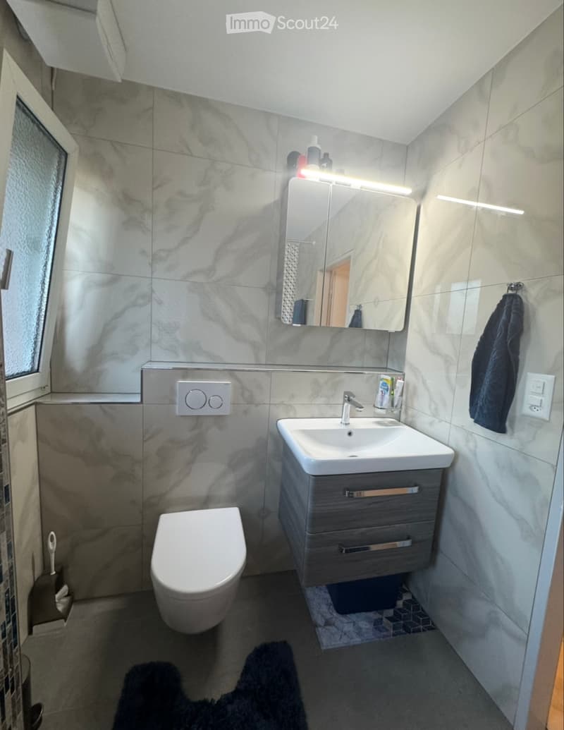 4-Zimmer Wohning mit Gewerberaum (4)