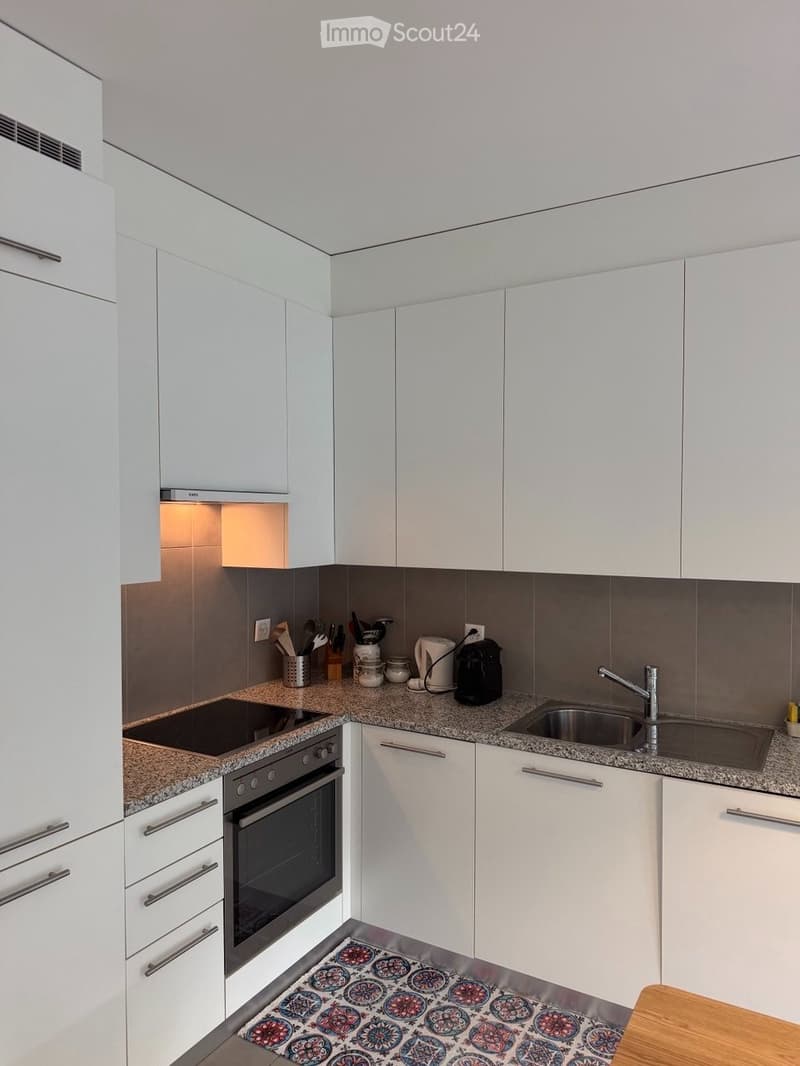 Appartamento 3,5 2 bagni 2 camere da letto + garage (3)