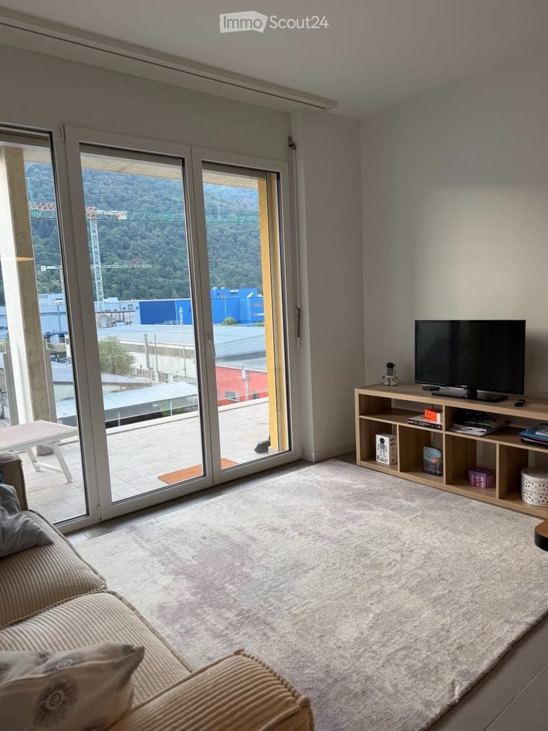 Appartamento 3,5 2 bagni 2 camere da letto + garage (2)