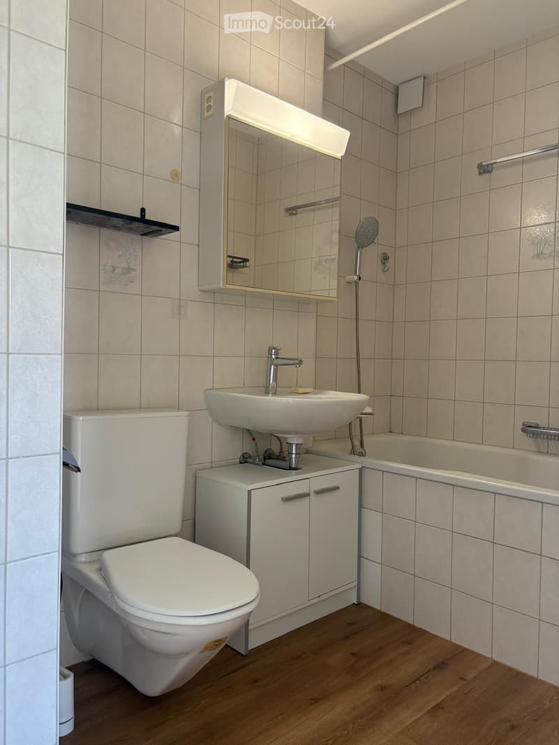 Schöne 2.5 Zimmer Wohnung im Grünen (3)