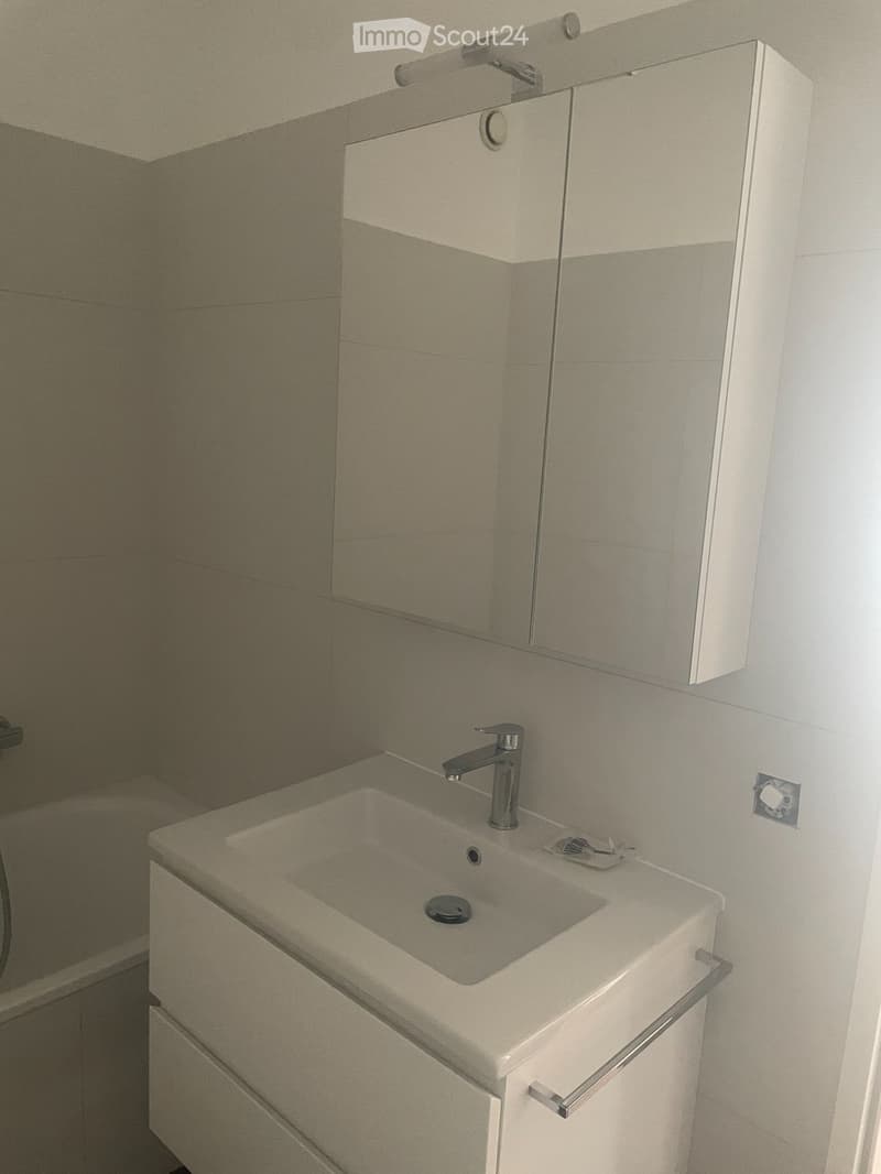 Affittasi luminoso 3,5 a Bellinzona (2)